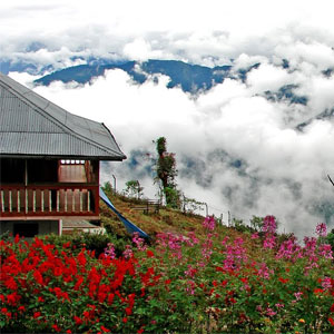 Gangtok - North Sikkim - Ravangla - Pelling - Kalimpong (10 Night 11 Days)